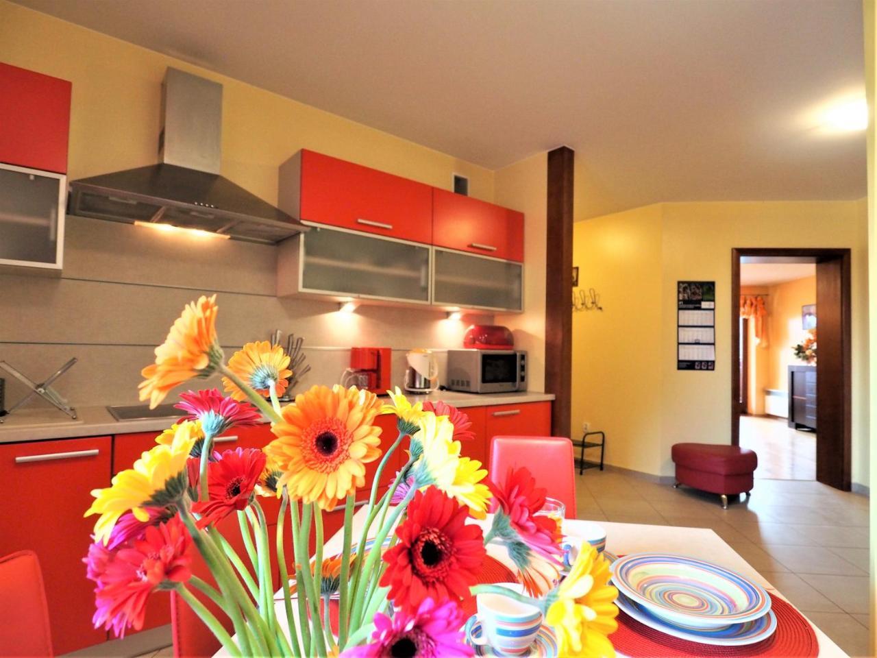 Apartament Widokowy Maki Apartment Закопане Екстериор снимка